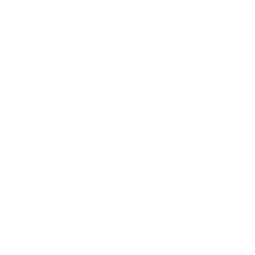 Rail